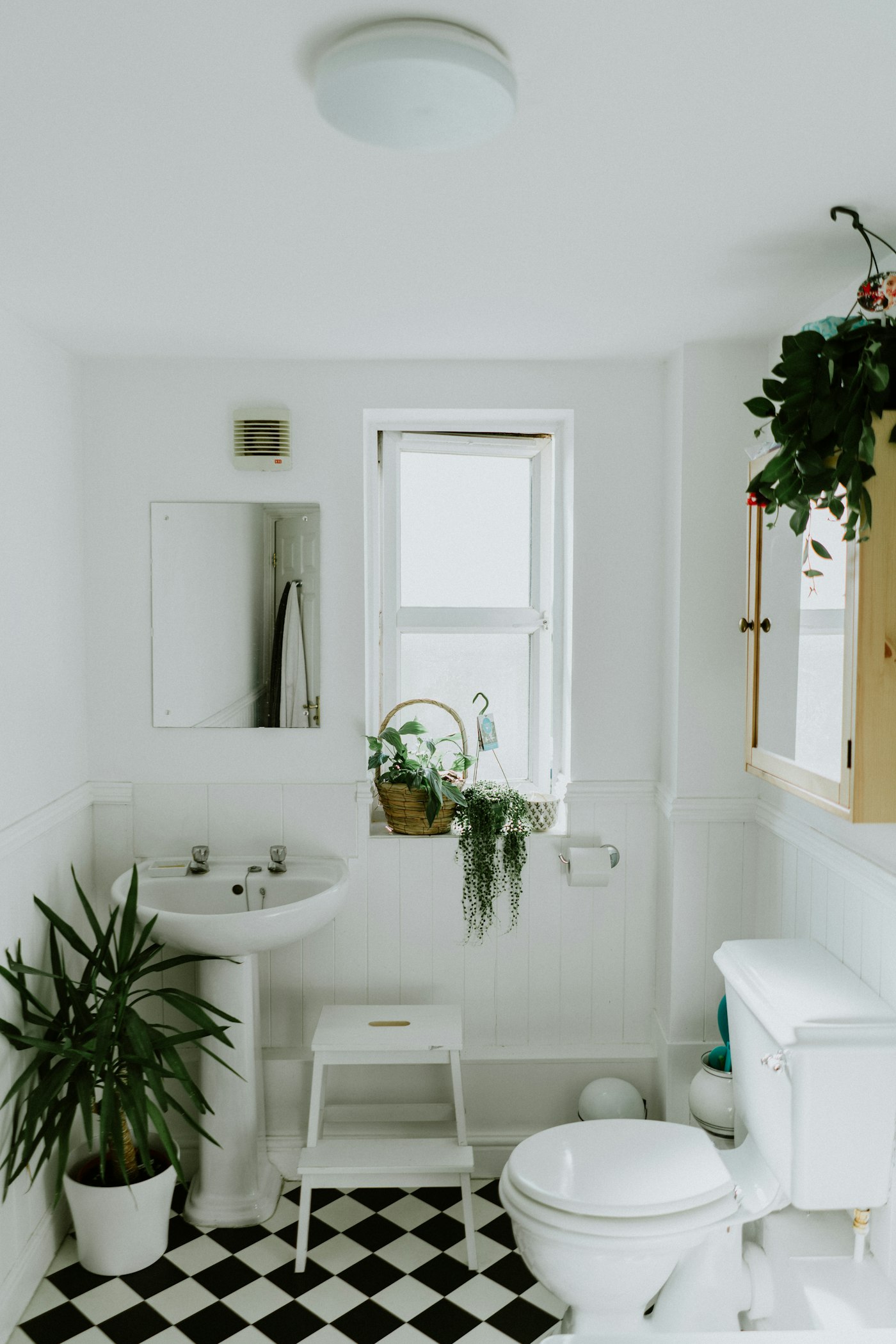 Spa-inspired renovated bathroom